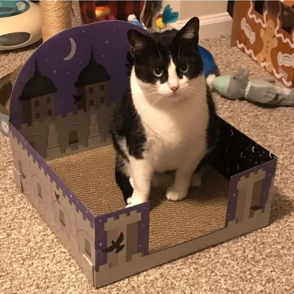 2-PK Boots & Barkley Castle Theme 15